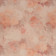 Nevalya - 1029