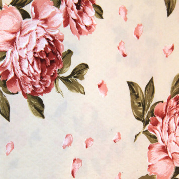 Cantabrico Petalos A 01