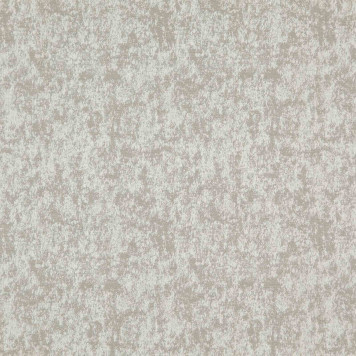 Davinci Renaissance 03 Fossil-2