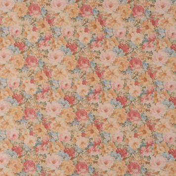 Debrus - 1160