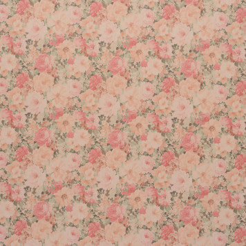 Debrus - 1161