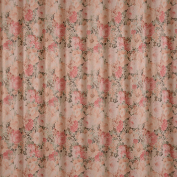 Debrus - 1161-1