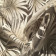Devore Calipso Beige