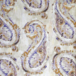 Ткань Dolcetto Cachemire D 21