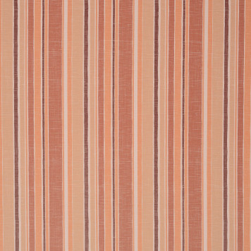 Earth Stripe - 1087