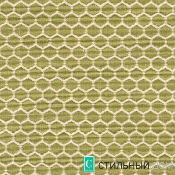 Groove Hive 3017 Forest