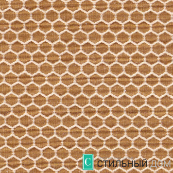 Groove Hive 6302 Curry