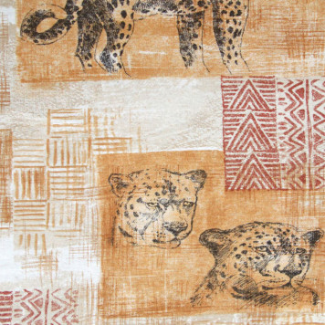 Sabena Tanzania 03