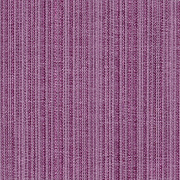 Salvador 25 Violet