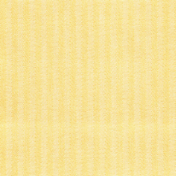 Street 24 Custard